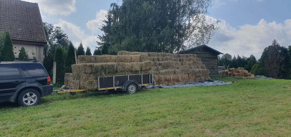 Siano w kostkach, lucerna, ciuki. Transport!
