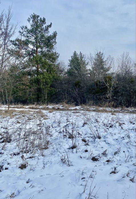 22 сот. Забудова, с. Старі Безрадичі, м. Київ 20км