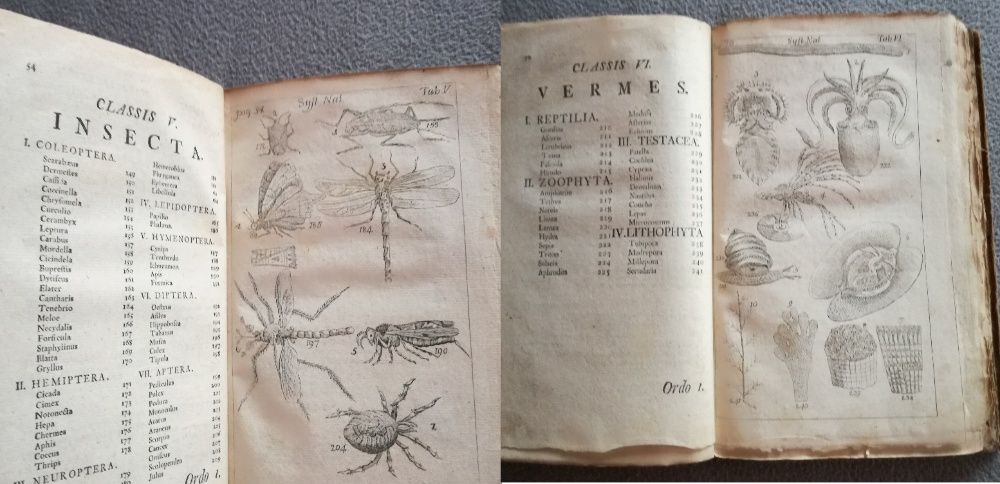 Caroli Linnaei, Systema Naturae, wydanie VI z 1748 roku - UNIKAT !!!