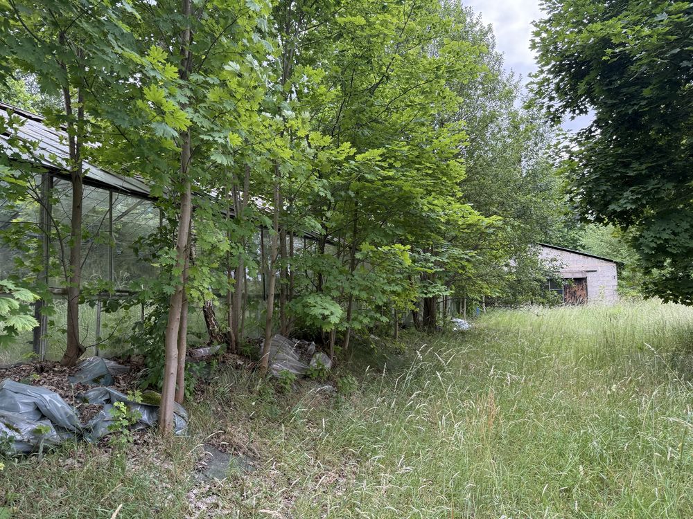 Szklarnia 2000m2