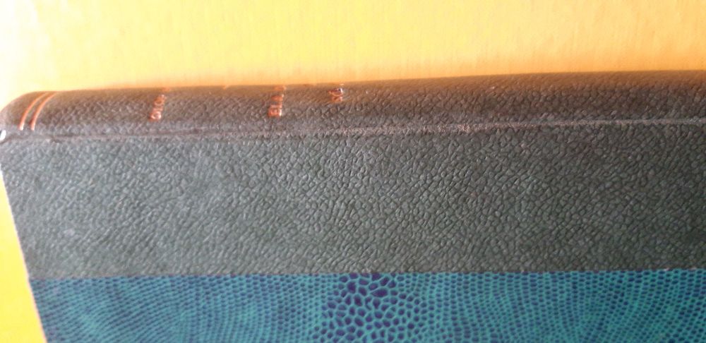 Ela Dançou um só Verão