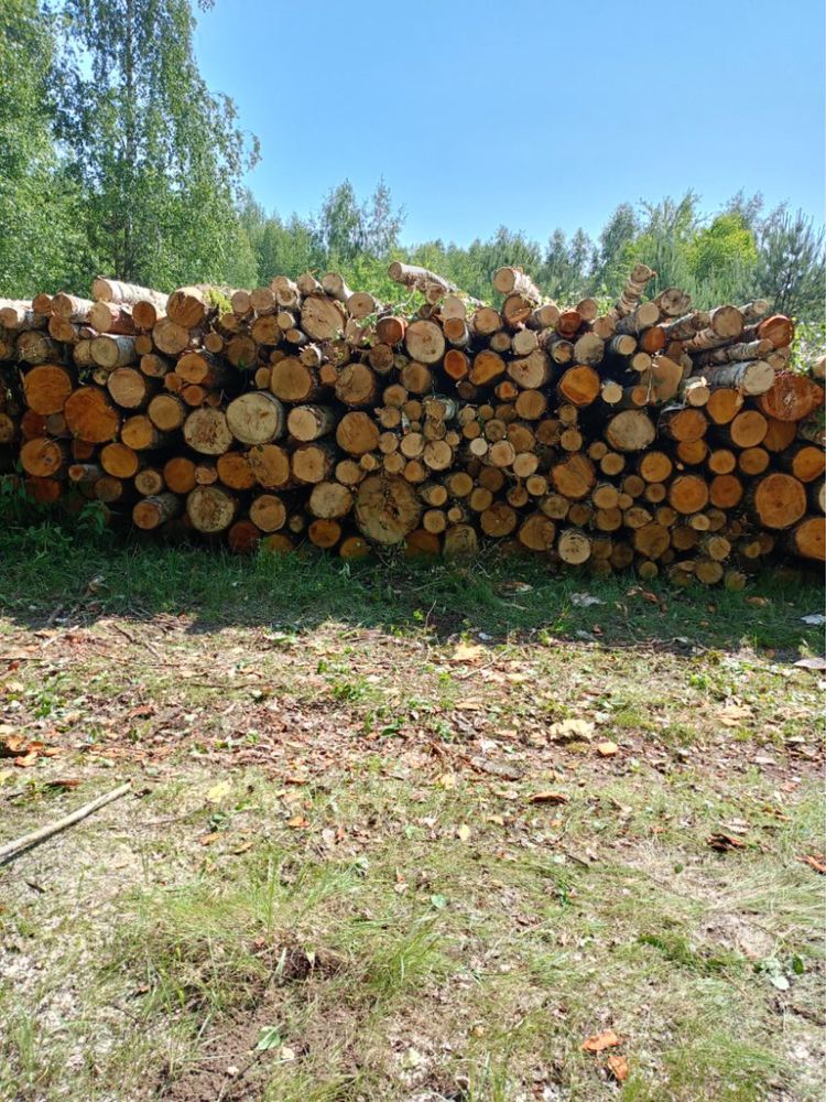 Drewno Drzewo Opałowe GRUBE Olcha i BRZOZA