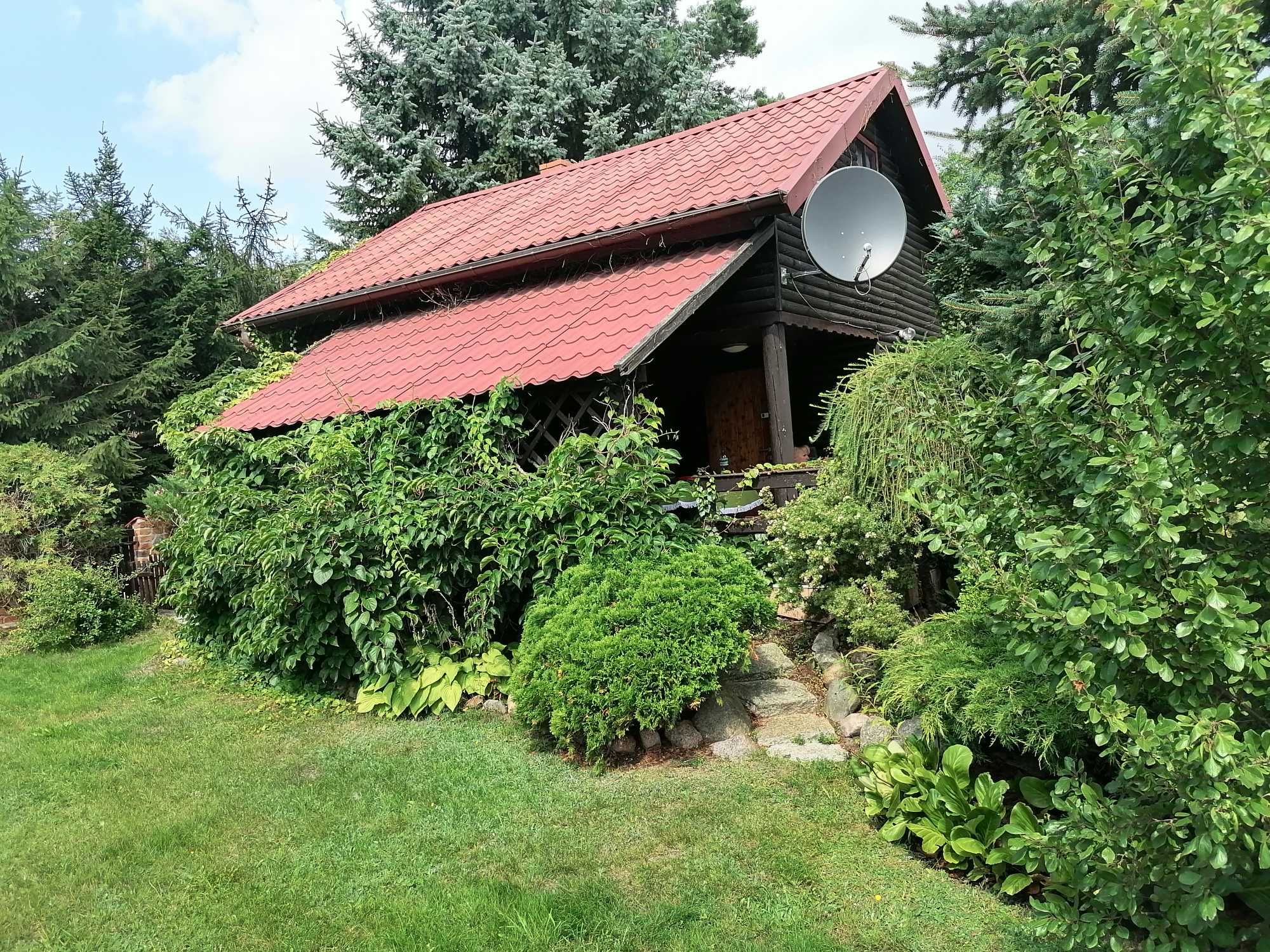 Wynajmę domek letniskowy Blanki