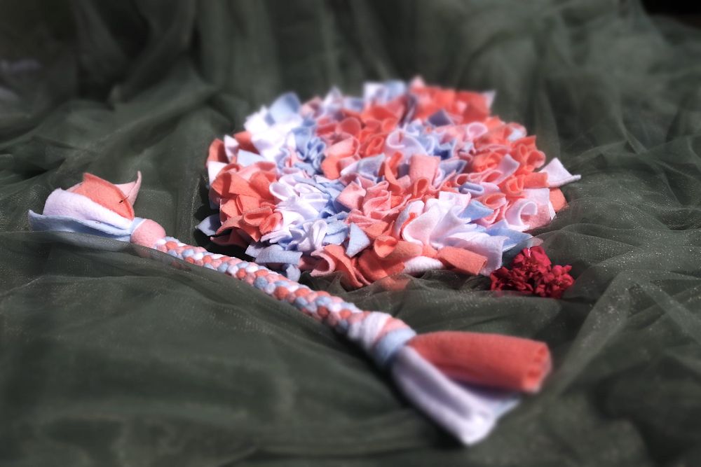 ZwierzoBox - mata węchowa i szarpak dla psa