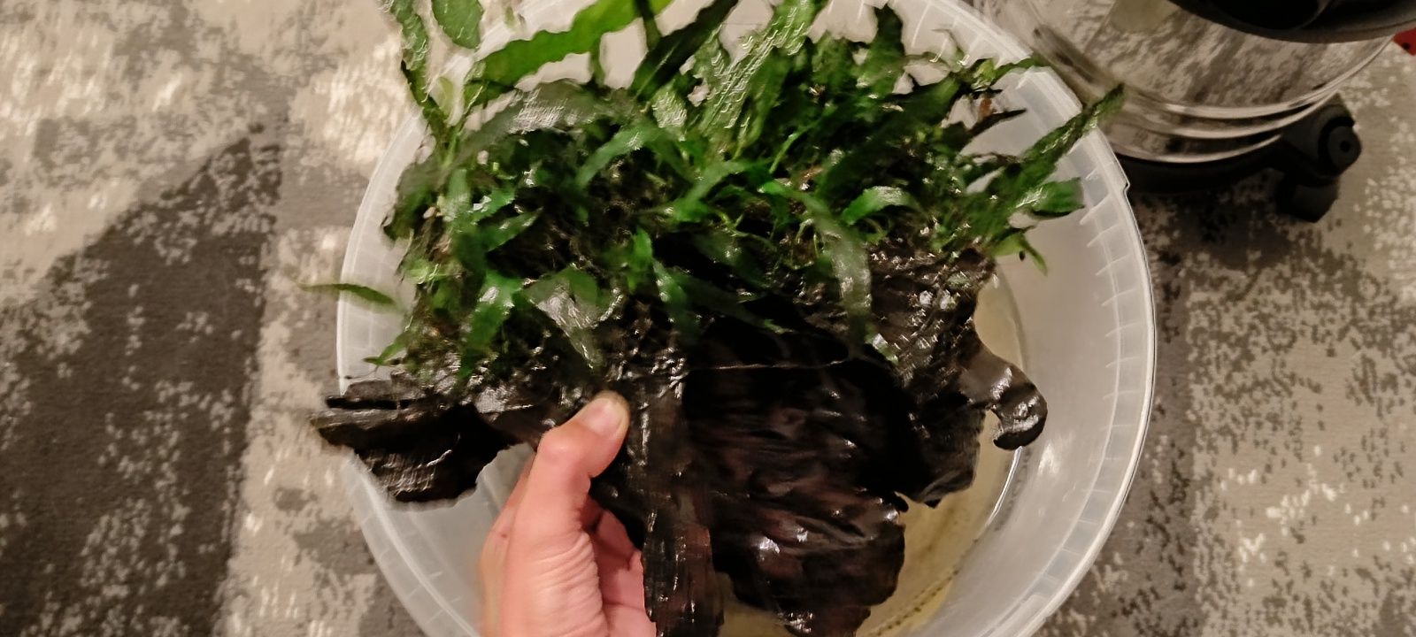 Sprzedam akwarium 112 l