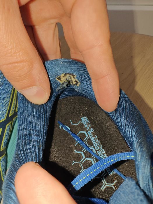 Męskie świetne buty do biegania Asics Gel-Nimbus 24 rozmiar 42.5
