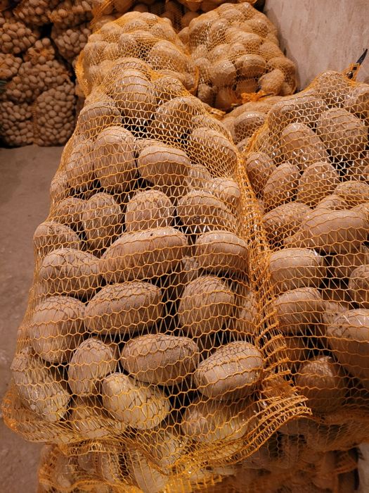 Ziemniaki jadalne denar soraya