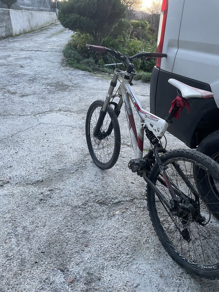 Bicicleta ds 2010