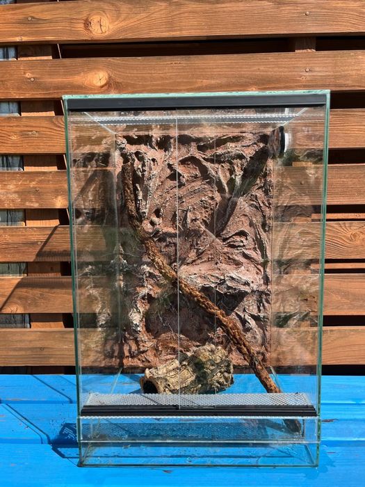 Terrarium z wyposażeniem