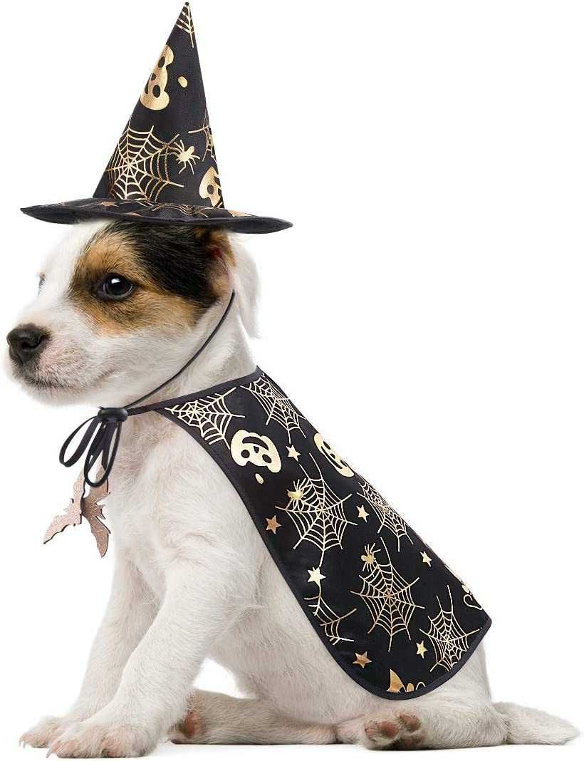Ubranko halloween kapelusz, pelerynka dla psa kota