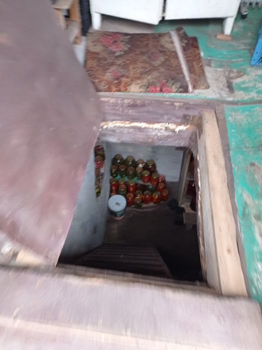 Будинок біля лісу. Всі ЗРУЧНОСТІ. Гарне транспортне сполучення.