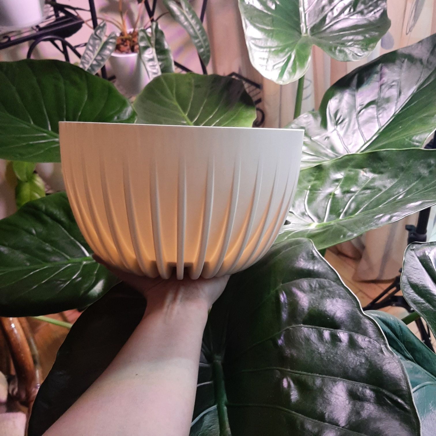 Donica Misa Lamela Mira 24 cm 2 sztuki