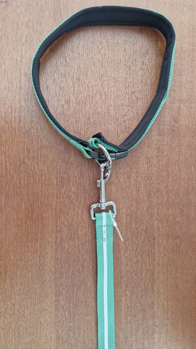 Coleira e Trela Cão