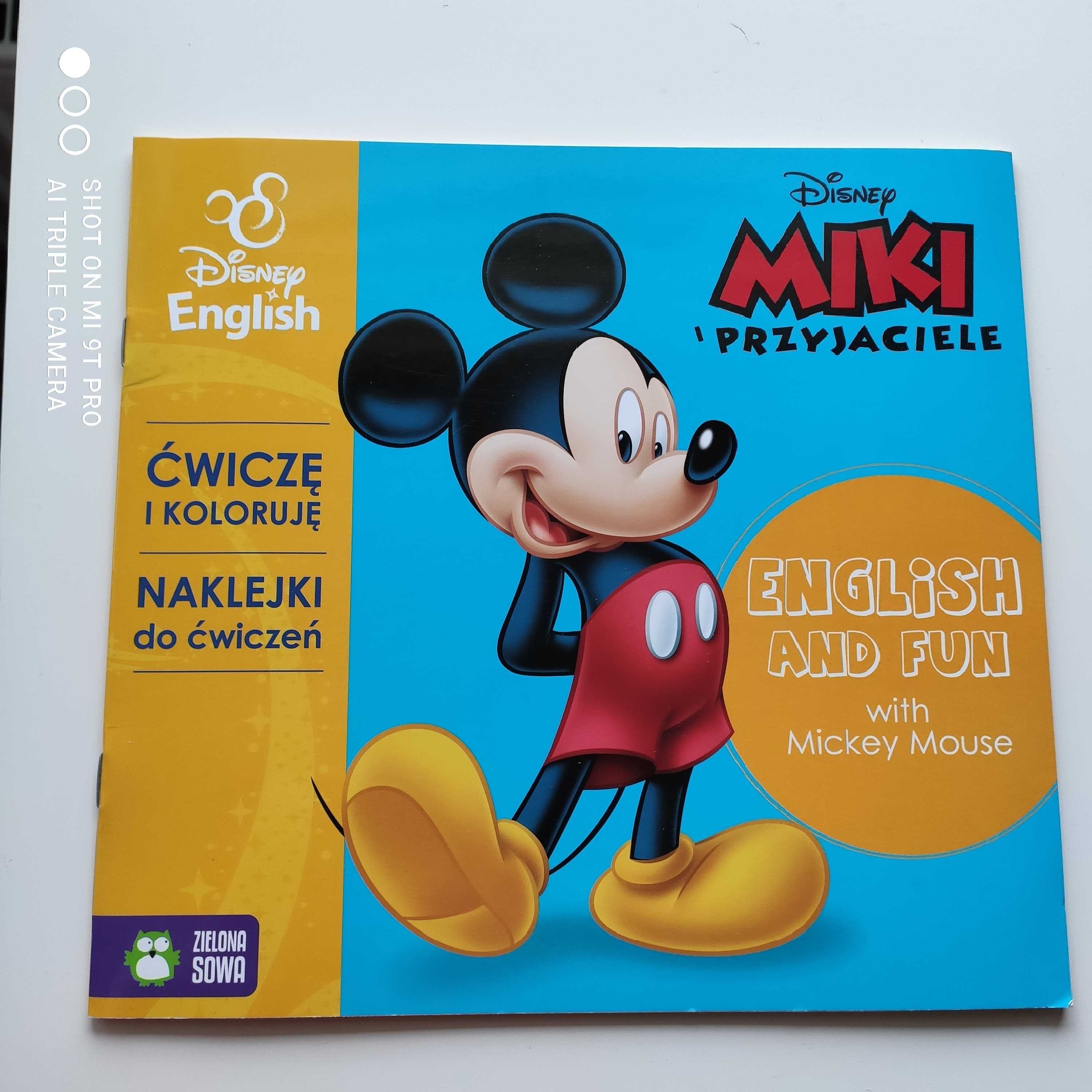 Kolekcja książeczek Disney po angielsku 7szt+CD+2 duże maskotki+naklej