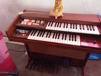 Organy Technics sx u15