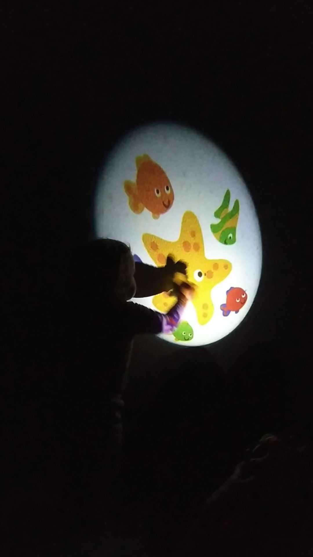Dziecięcy projektorek pozytywka uspokajacz Fisher Price gwiazdka