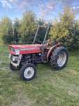 MASSEY FERGUSON MF 145V mklll, 3cyl 47KM, sadowniczy, 135,152,247,3502