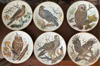 Coleção pratos pintados com aves de rapina