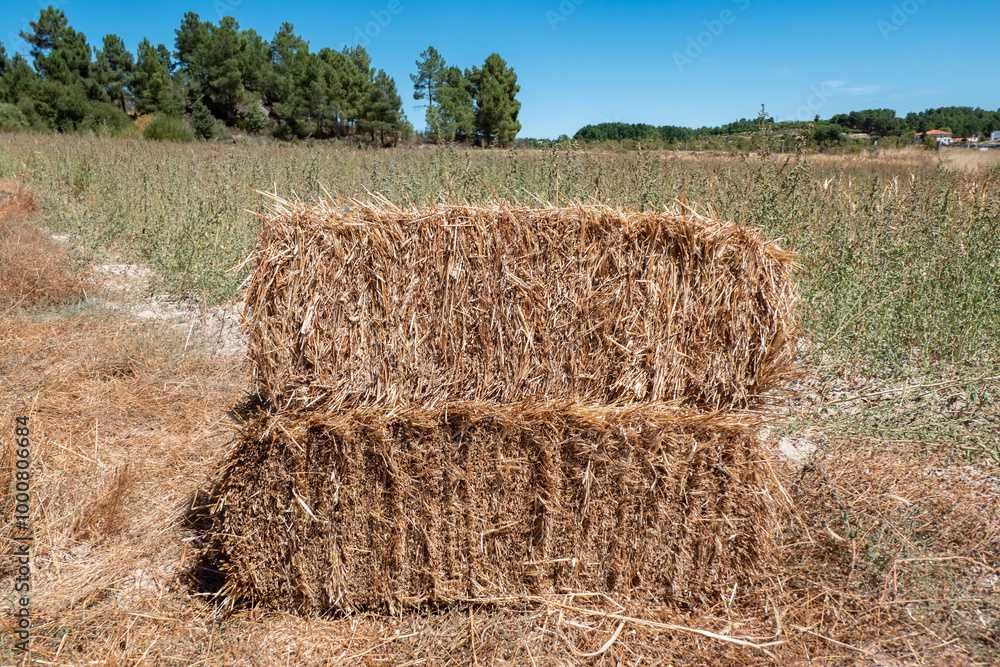 Vendo Fardos de palha