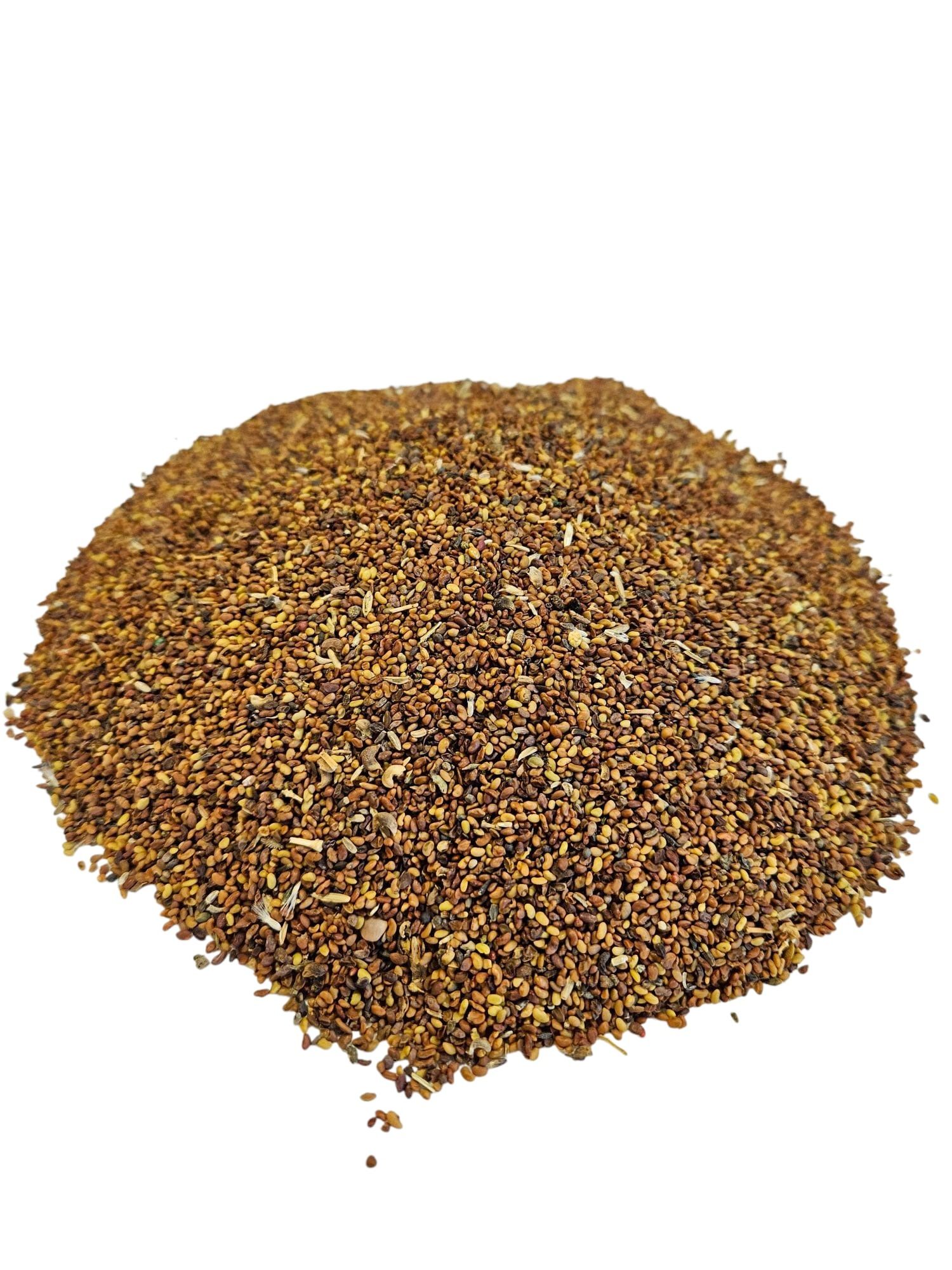 Lucerna Lucerna Lucerna 7 letnia