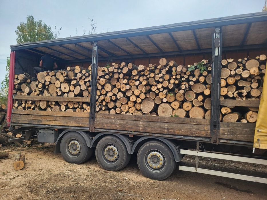 ДРОВА Твёрдых пород