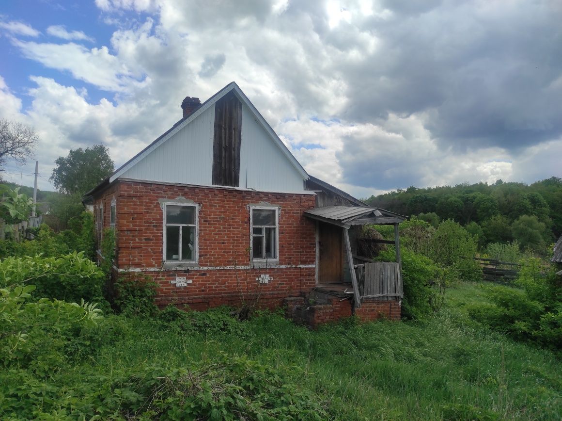 Продам будинок на березі озера.