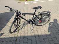 Pegasus Solero Disc SL