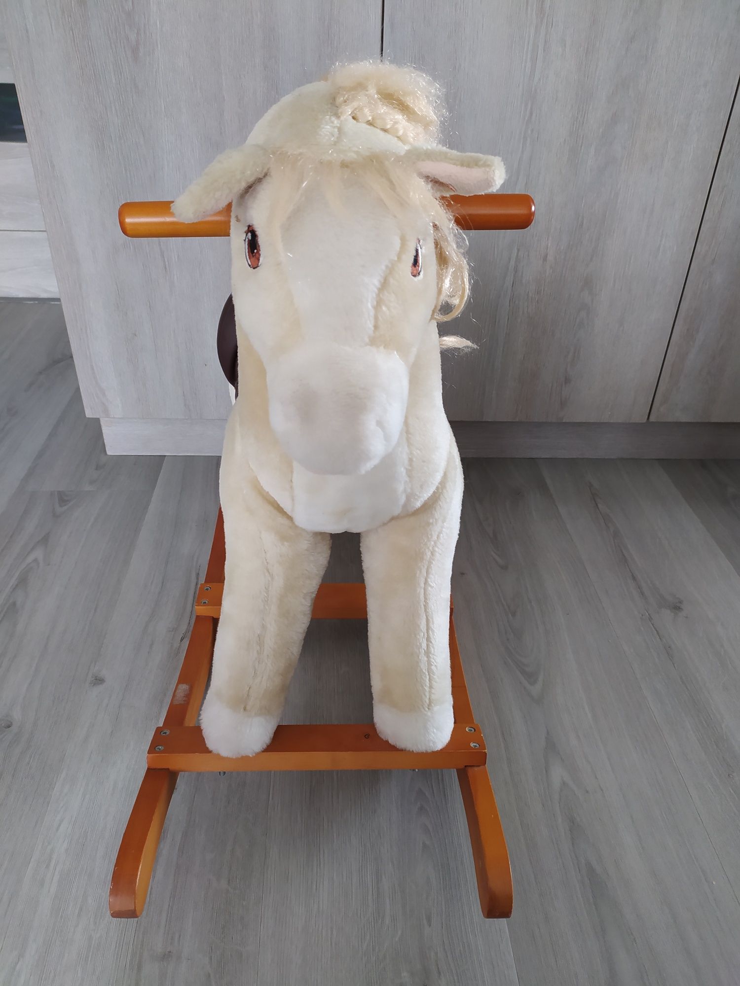 Konik na biegunach