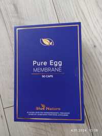 Pure Egg blue nature