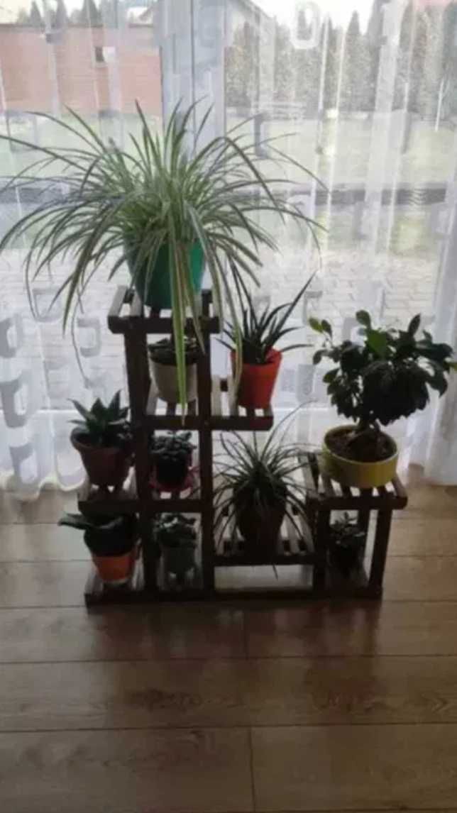 Kwietnik Drewniany Stojący Drabinka Regał Stojak Na Kwiaty Rośliny