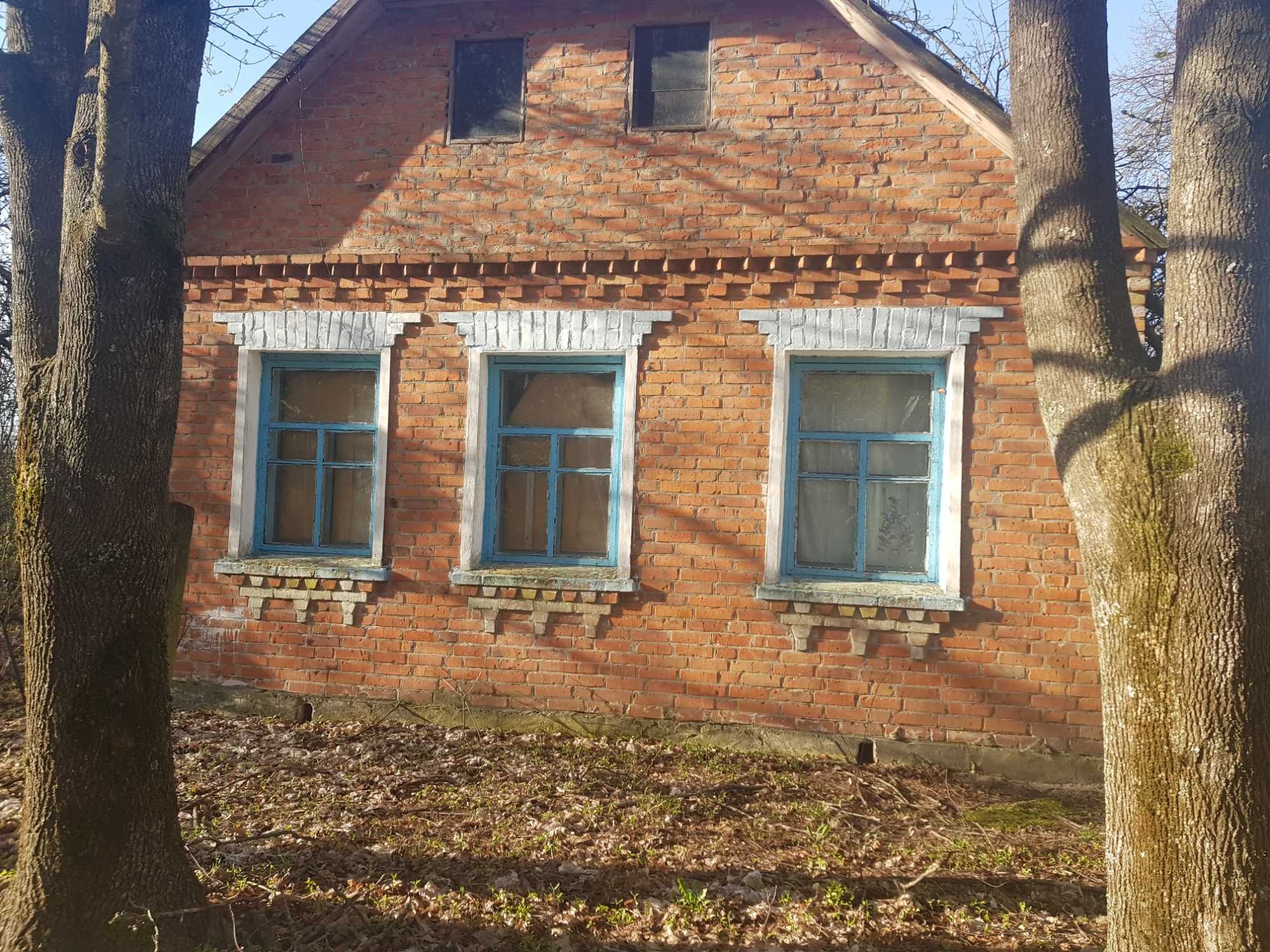 Будинок в селі Максимовичі, Київська обл