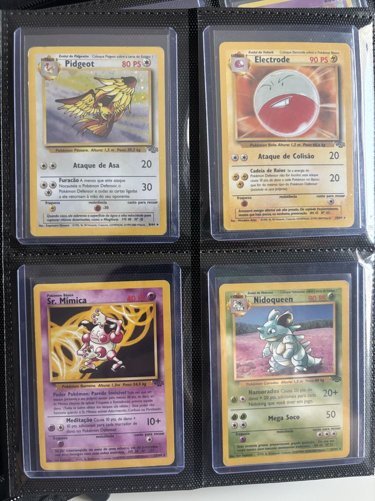 Cartas raras Jungle holo e non holo PT ING