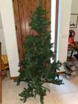 Vendo árvore de Natal