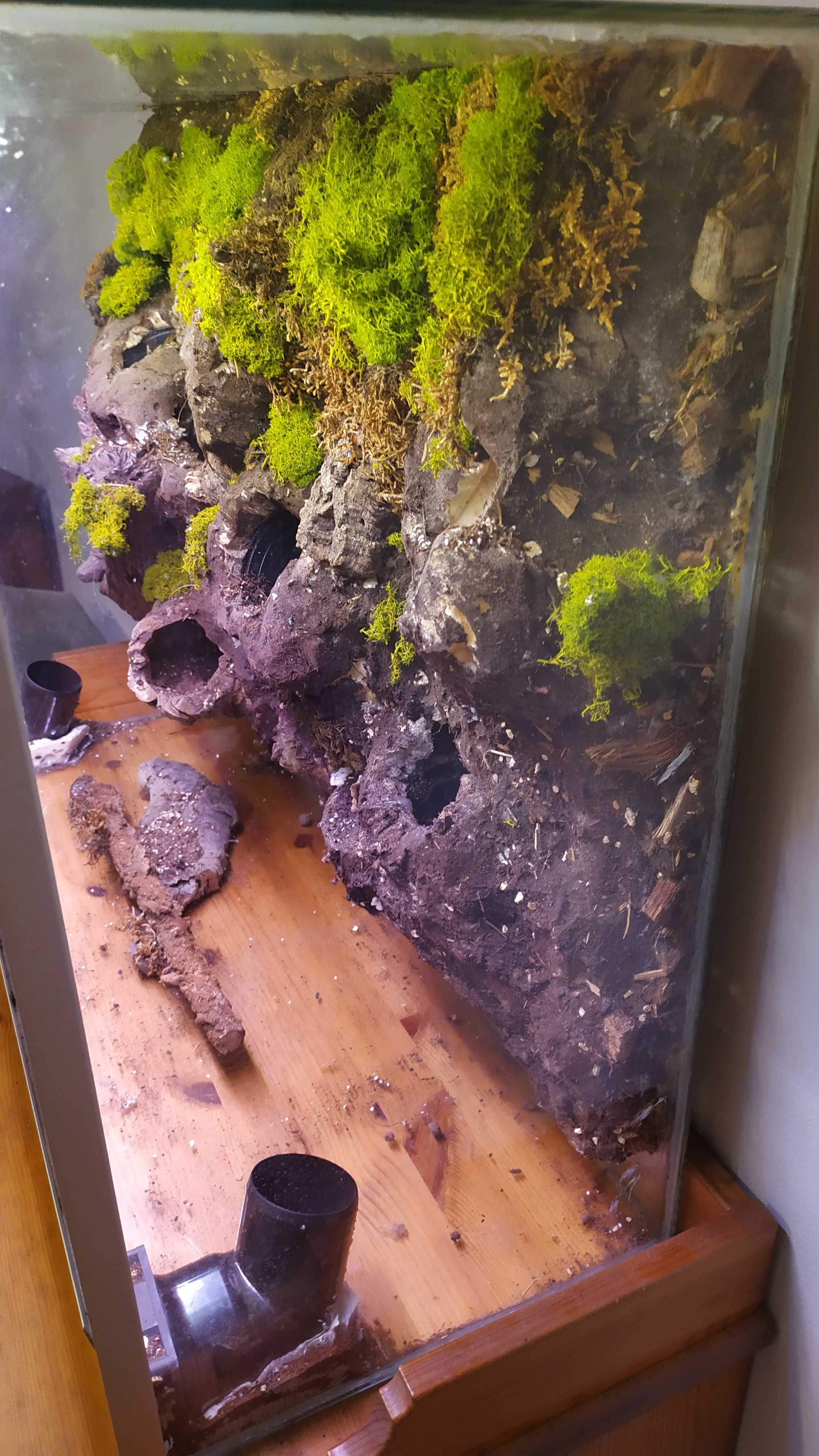 Terrarium dla roślin lub zwierząt