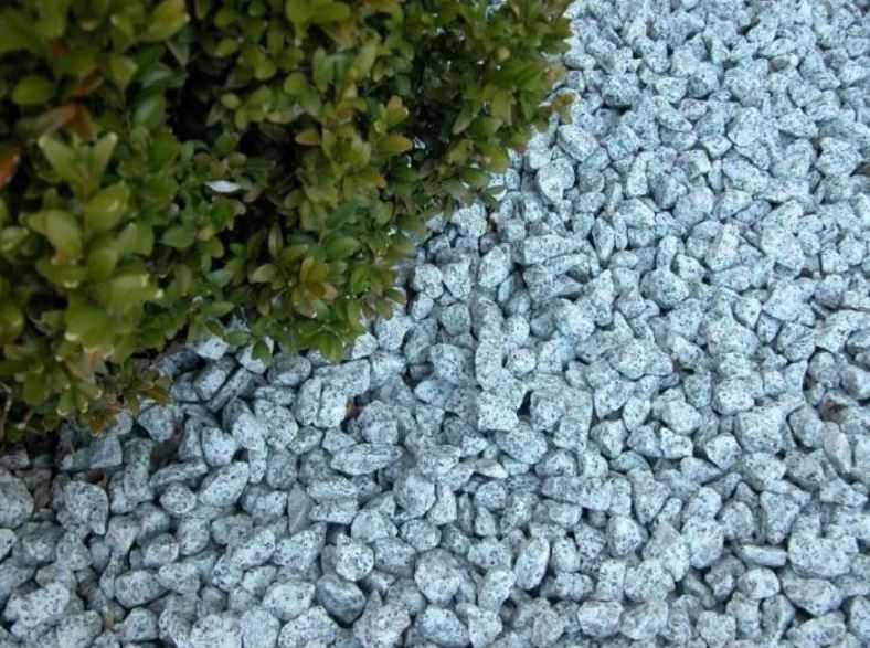 Grys granitowy "DALMATYŃCZYK", 16-22 mm, kamień ozdobny, granit