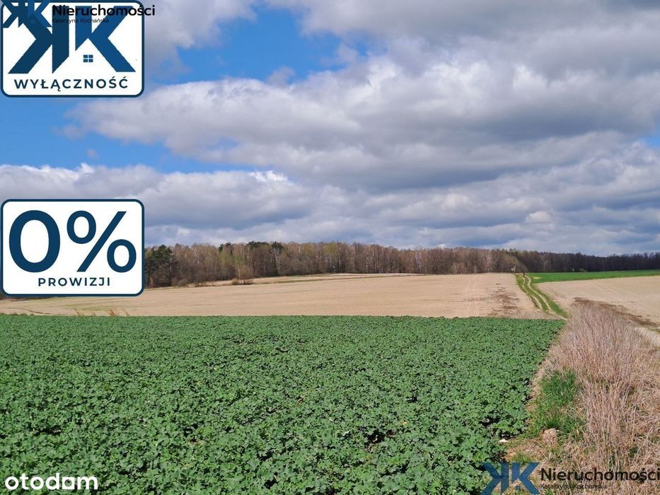 Duża działka rolna, Zbrosławice.