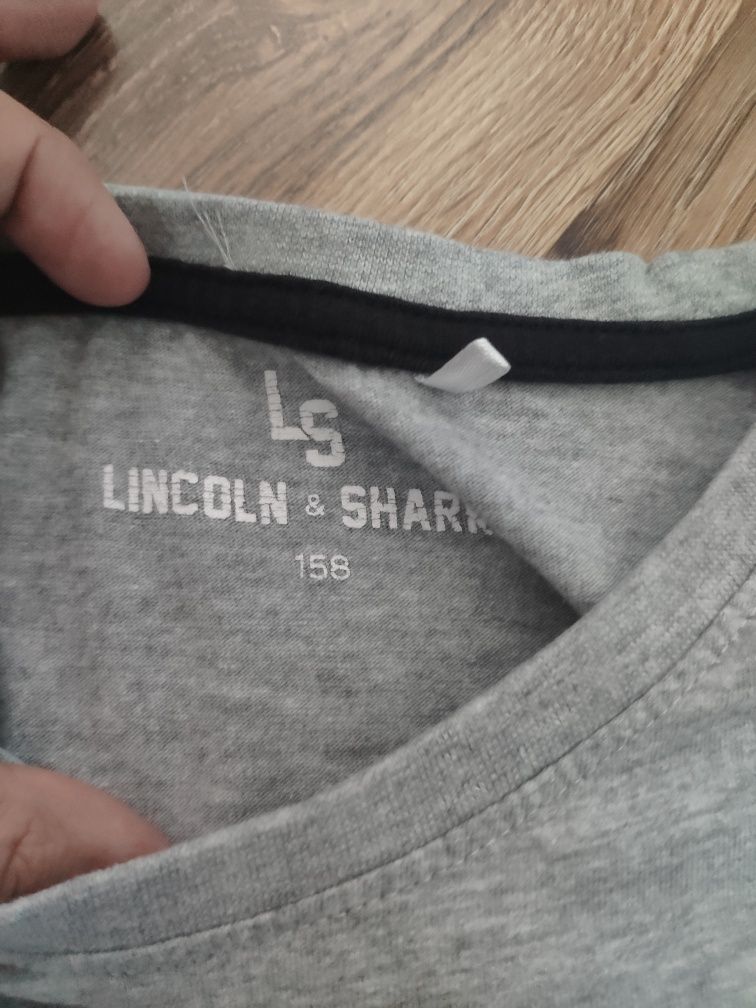 Bluza dla chłopca 158 Lincoln shark