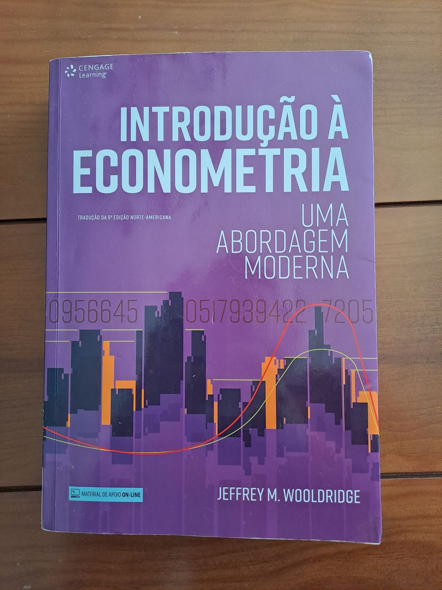 Introdução à econometria - uma abordagem moderna-Jeffrey M. Wooldridge