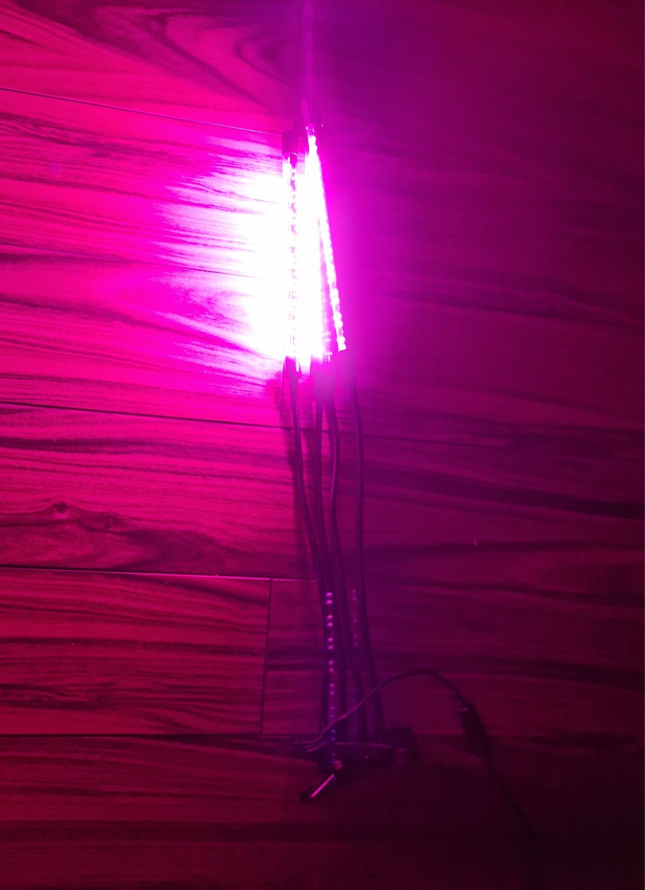 Lampa led do uprawy roślin w domu