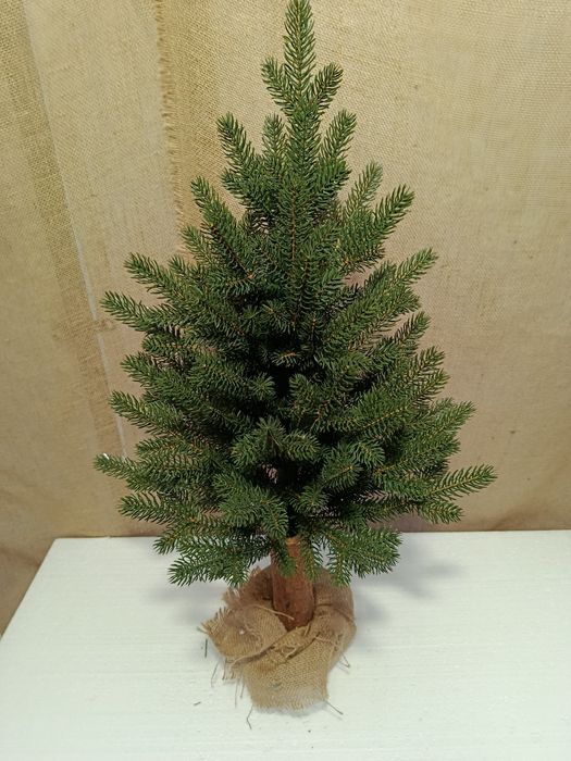 Choinka na pniu PREMIUM PE 80