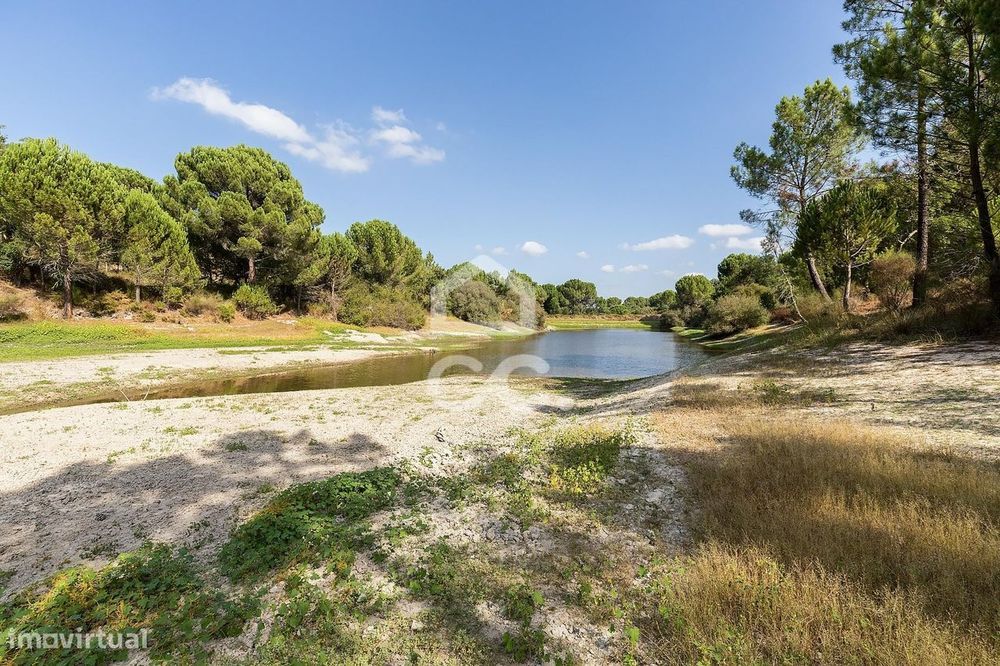 Herdade de 71,7 ha c/ Barragem e Casas de Apoio Agrícola | Mora