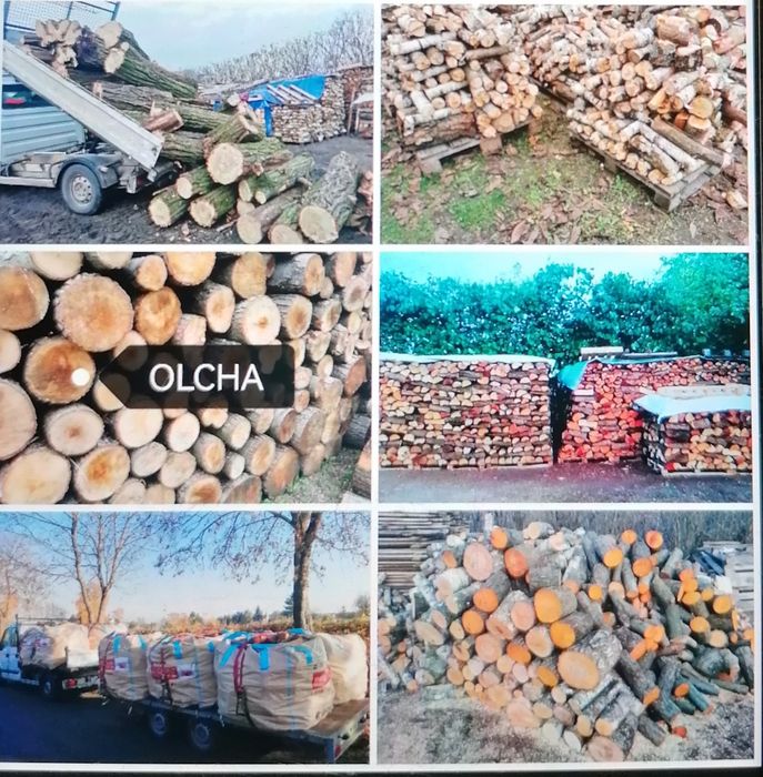 Kominkowe Dąb, Jesion, Brzoza itd