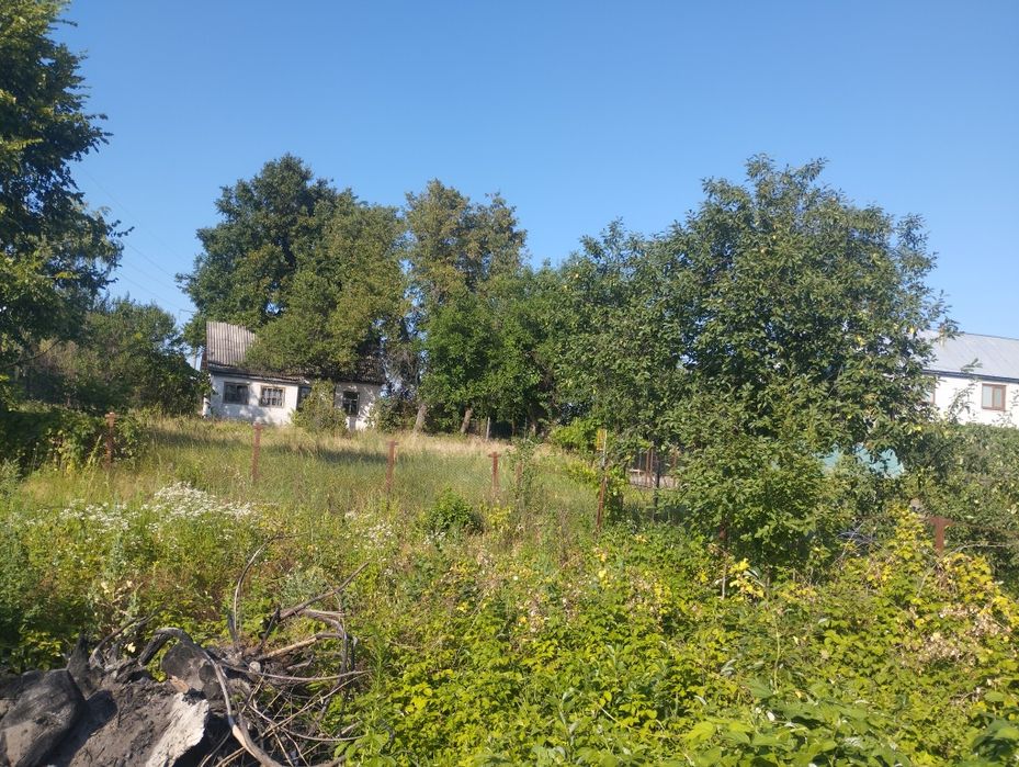 Продам будинок в центрі села