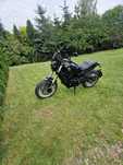 Benelli Leoncino 500 Trail