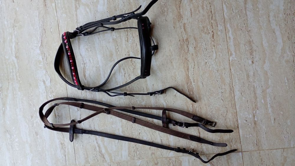 Ogłowie z diamencikami