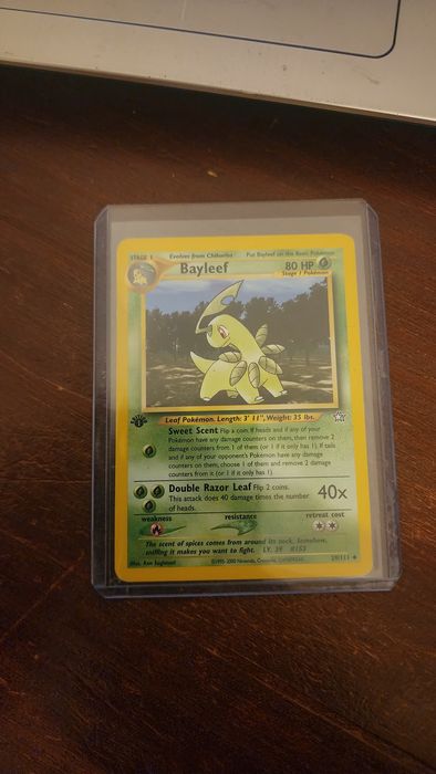 Bayleef 1 edicao