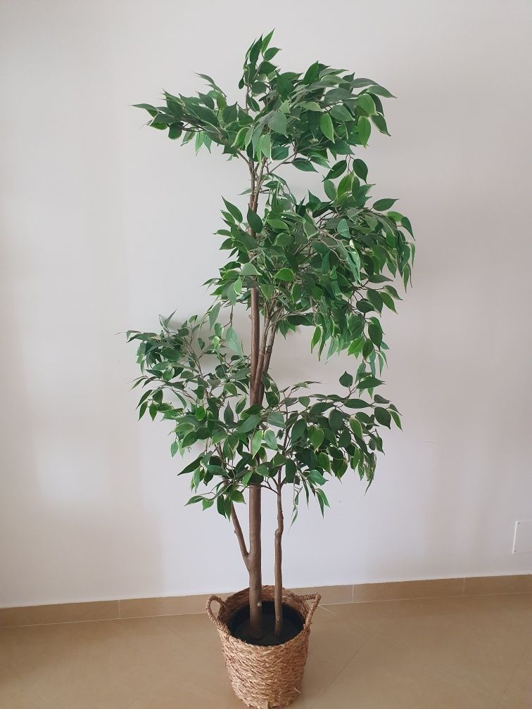 Planta artificial Fejka