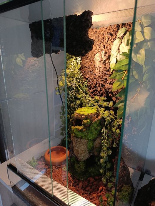 Terrarium dla gekona 40x40x60 cm pionowe