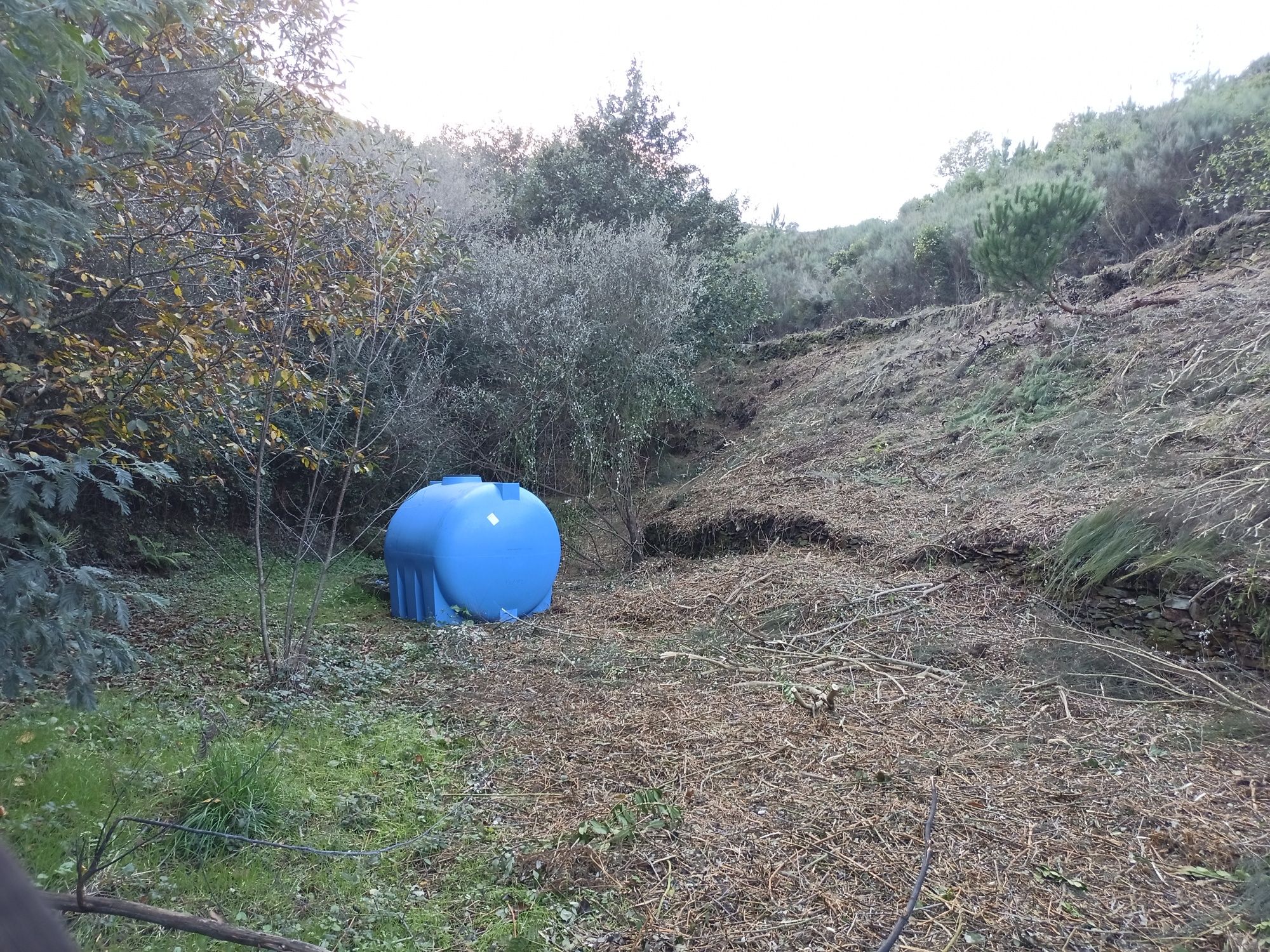 Limpezas de terrenos
