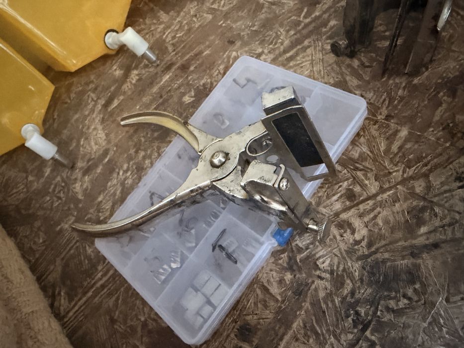 Tatuownica dla królików